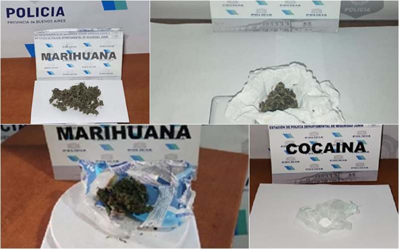 collage marihuanas