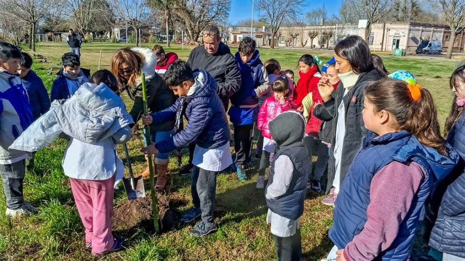 ambiente plantando valores 1