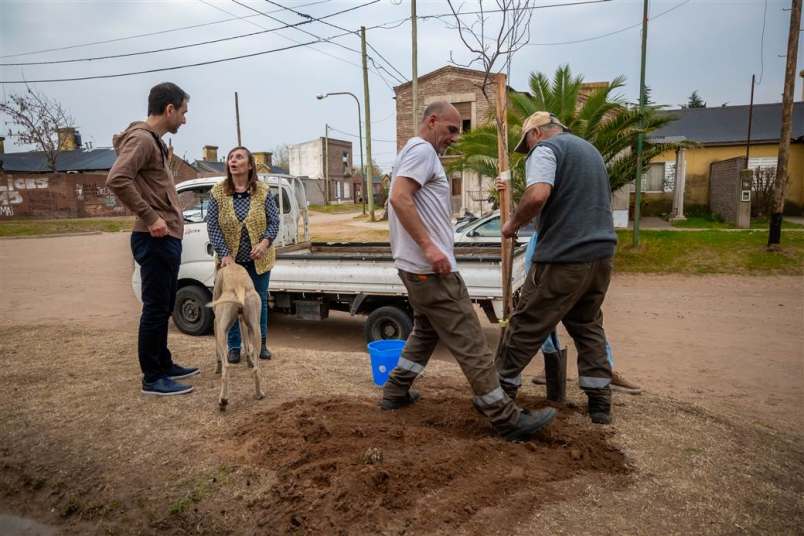 ambiente plantando valores 2