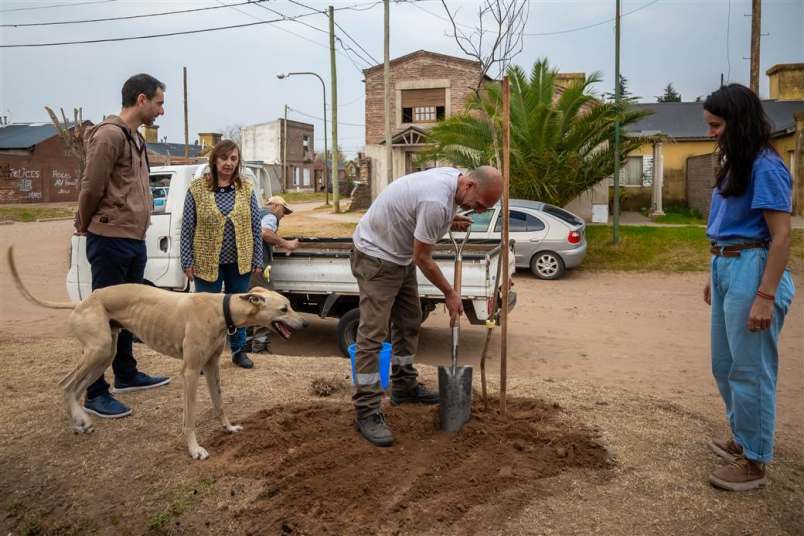 ambiente plantando valores 3