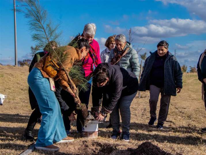 ambiente plantando valores 4