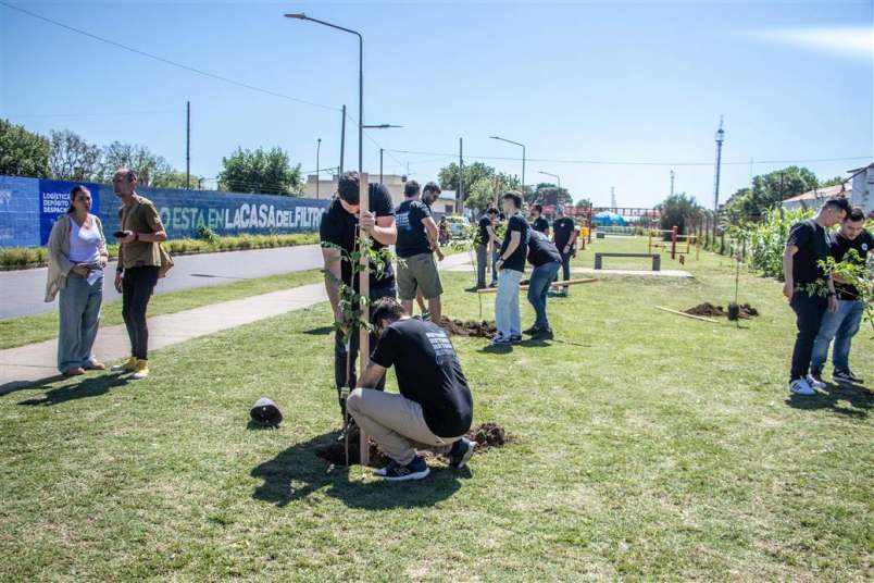 ambiente plantacion arboles paseo maipu 4