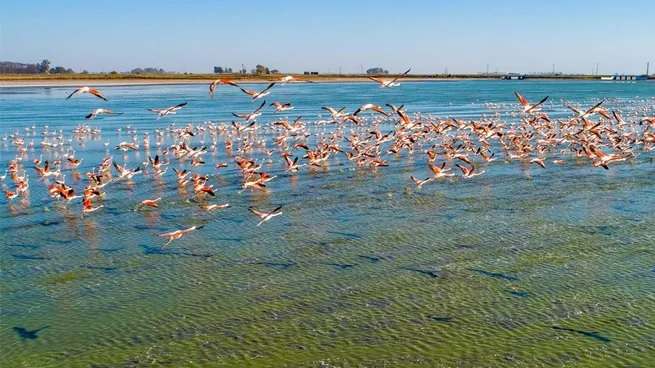 parque natural aves