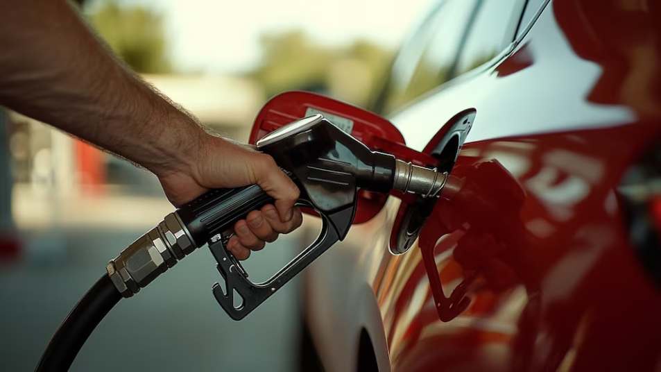 combustibles estaciones de servicio nafta1