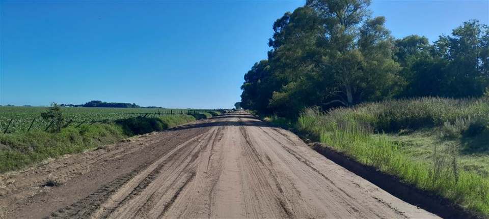 trabajos en caminos rurales 2